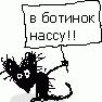 Фотография Azrarn
