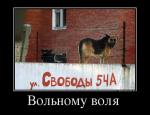 72452777_volnomu-volya-.jpg