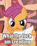 Scoot_wtfiamreading.jpg