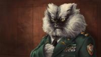 colonel_meow___wallpaper_by_chronoperates-d5mw23j-650x365.jpg