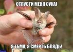 2fc8a74c846597fc97cab9ca9f5fdd68.jpg