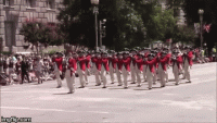 1iueqe.gif