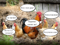 Рекрутинг. Уровень ИвРу.png