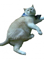 9zcliLZtHg4.png