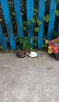 SKP_20170716_152321_891170886018.jpg