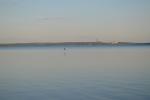 DSC_1383.JPG