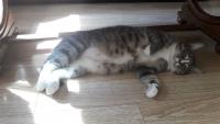 20180818_095543.jpg