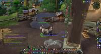 WoWScrnShot_082118_140001.jpg
