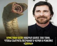 14696212.jpg