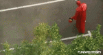 фотография.GIF