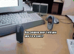 1372754339803.gif
