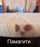 WhatsApp Image 2016-10-08 at 23.08.55.jpeg