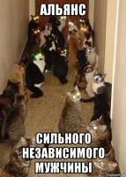 risovach.ru.jpg