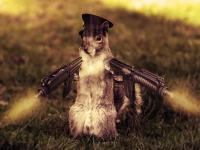 angry_squirrel_by_papaogen-d36b9hq.jpg