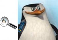 7654.jpg