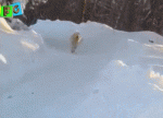 74bb1bf040b5260ad6cc262e89c21a1f.gif
