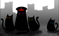 Фотография Komandor Luis