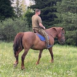 Фотография Kachey