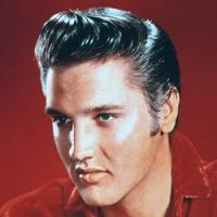 Фотография Elvis