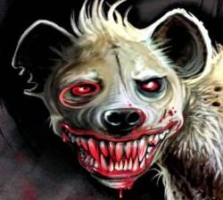 Фотография Stasetskiy