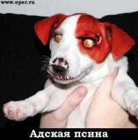 Фотография Vugluskr