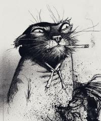 Фотография dervenir