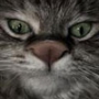 Фотография andreass