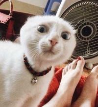 Фотография Old Creep